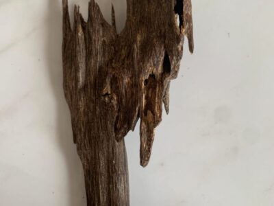 Assam Oud Assam Oud