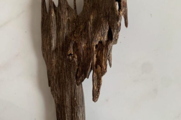 Assam Oud
