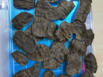 Assam Oudh Assam Oudh