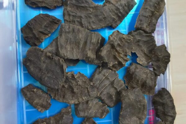 Assam Oudh
