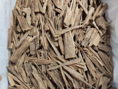 Hindi Manipur Oud Hindi Manipur Oud