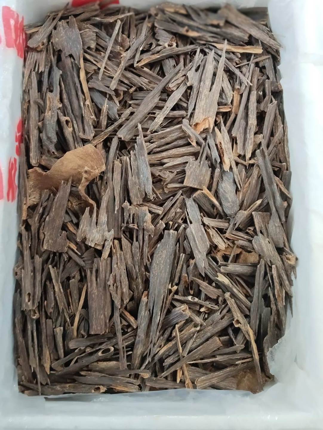 Hindi Nagaland Jura