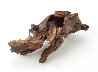beautiful log beautiful log